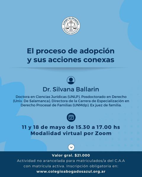 El proceso de adopción y sus acciones conexas.